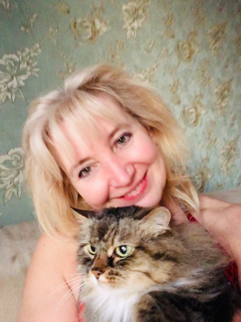 Гладишь серого кота. Посвящение С. Т. 14455