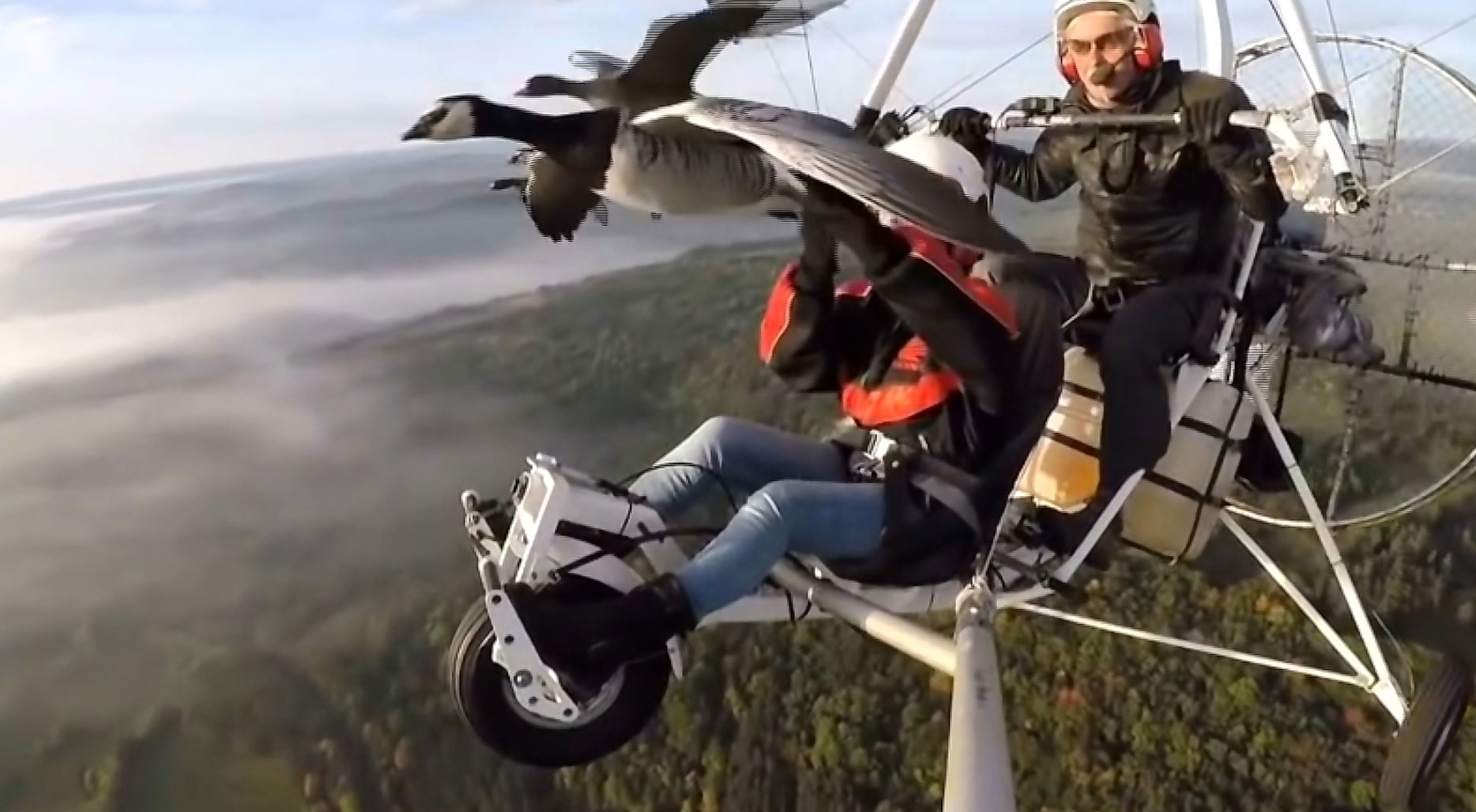 Золотая монета. Стихи о золоте и смерти