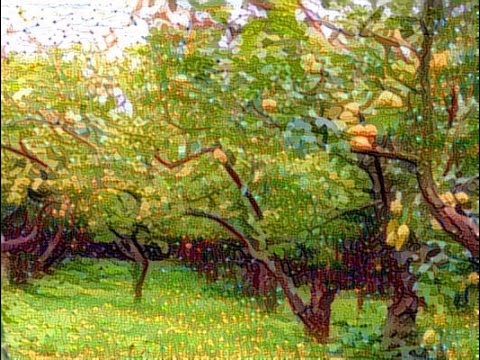 Лимоновый сад