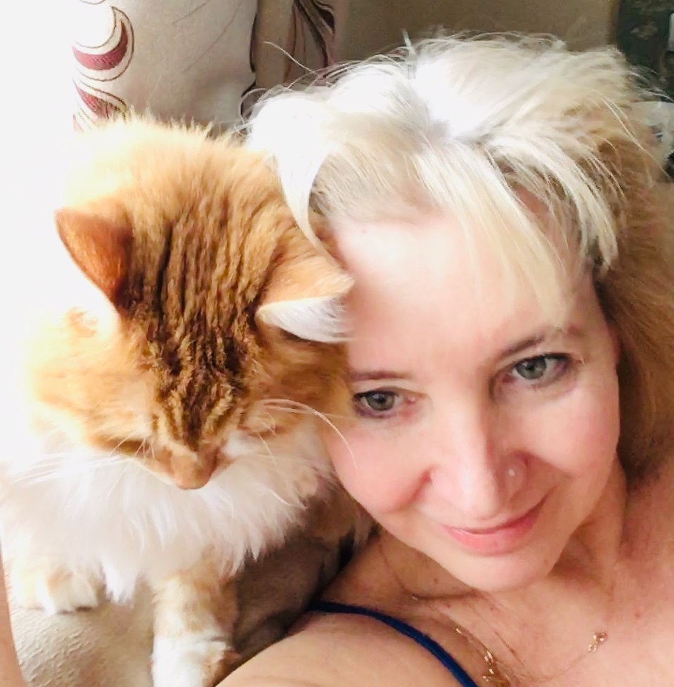 Твой рыжий кот. Посвящение С. Т. 14469