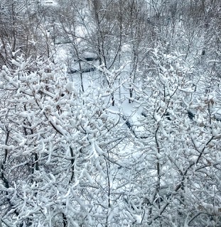 Пара слов о весне