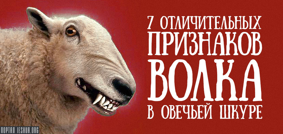 Волк В Овечьей Шкуре Картинки