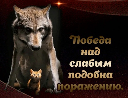 Не победа, а поражение