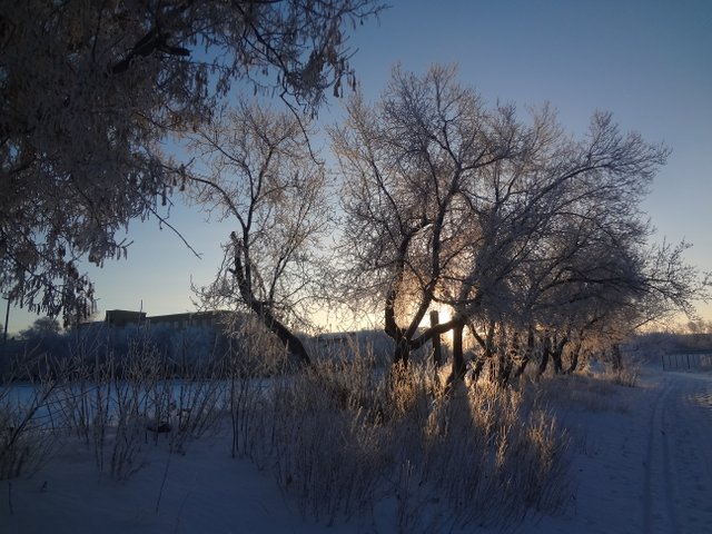 Среди дней верениц