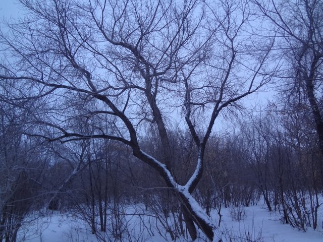 Это моя судьба