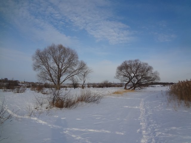 Лишь следы в судьбе из серебра