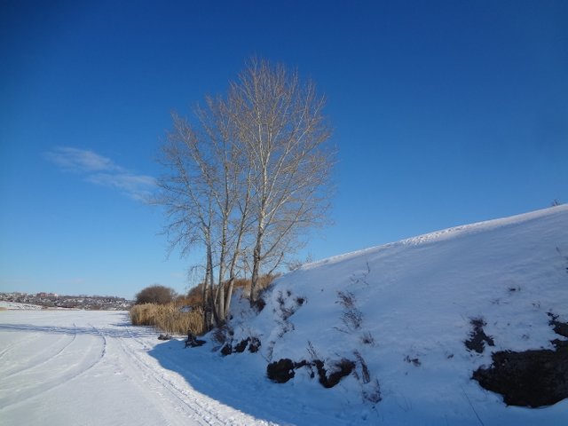 Судьбы страницы