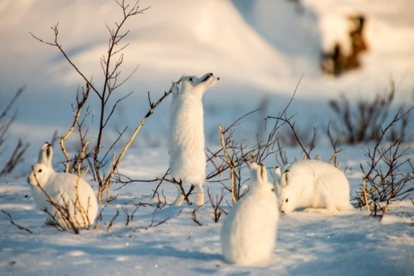 Осторожно! Скоро ледоход!