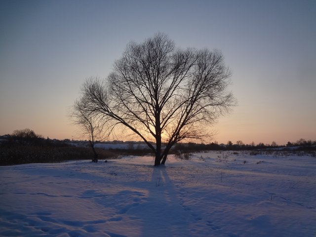 Миру нужен сегодня покой