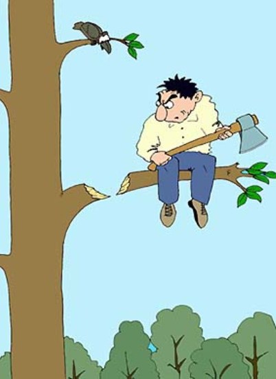 Не руби сук, на котором сидишь