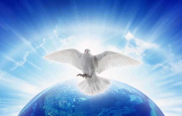 Исполнение Божьей воли для достижения Божьего мира