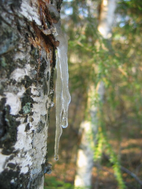 97. А вокруг уже апрель