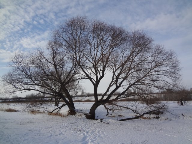 Душа Русских