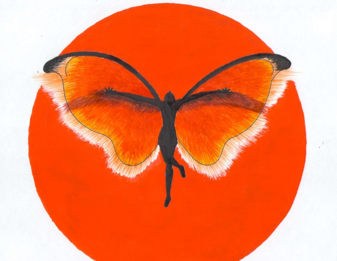 Бабочка-танцовщица