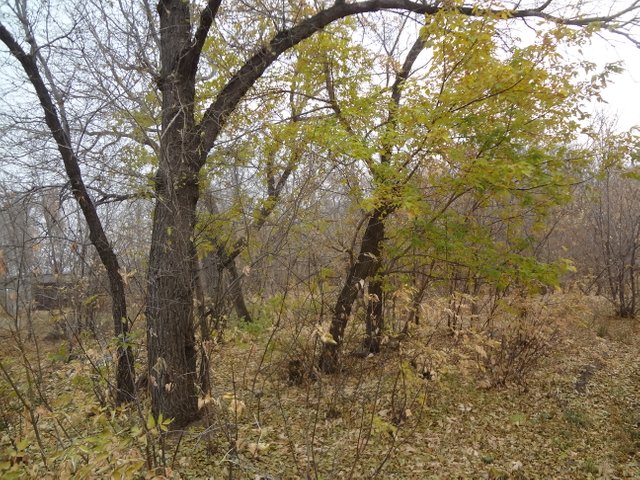 И совсем уж немного осталось