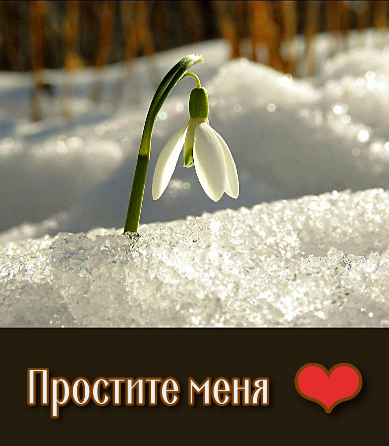 С Прощёным Воскресеньем