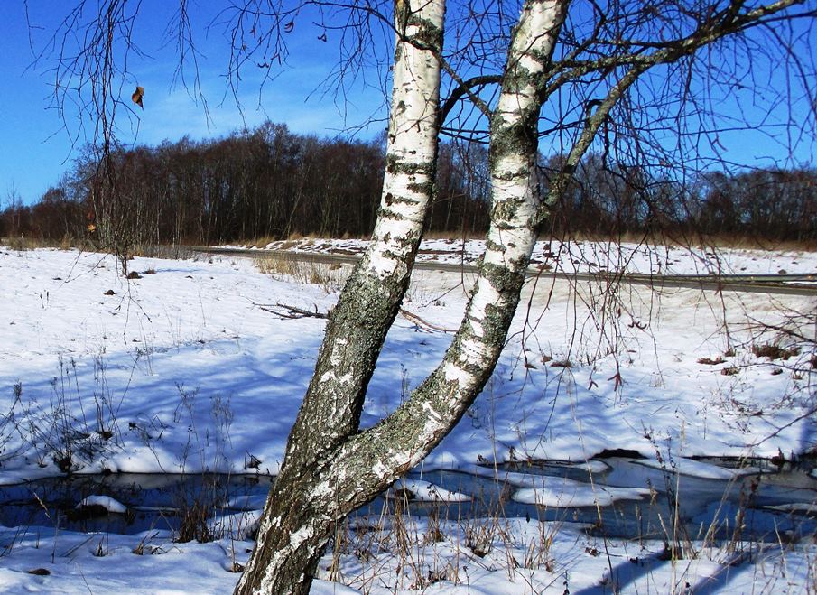 Мы эту картину Весной называем
