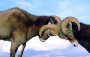 Просто мысль 2