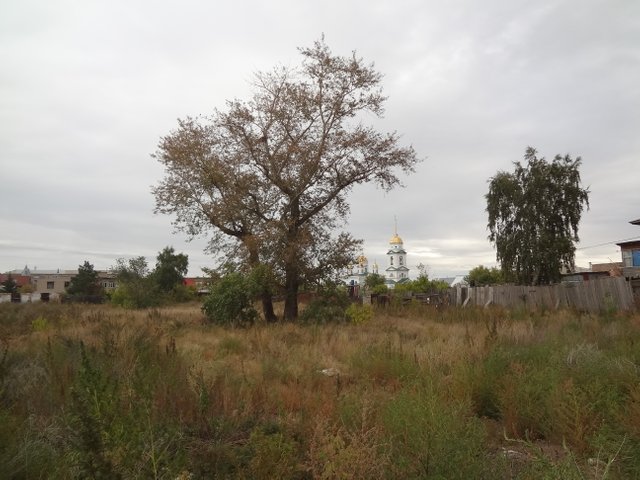 Идущие впотьмах. Черная ночь