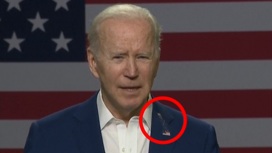 Голубь Мира пердизента обос...