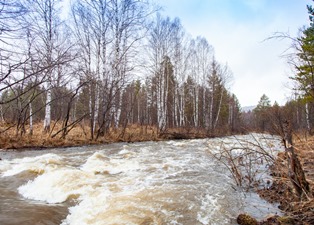 А любовь бессонница
