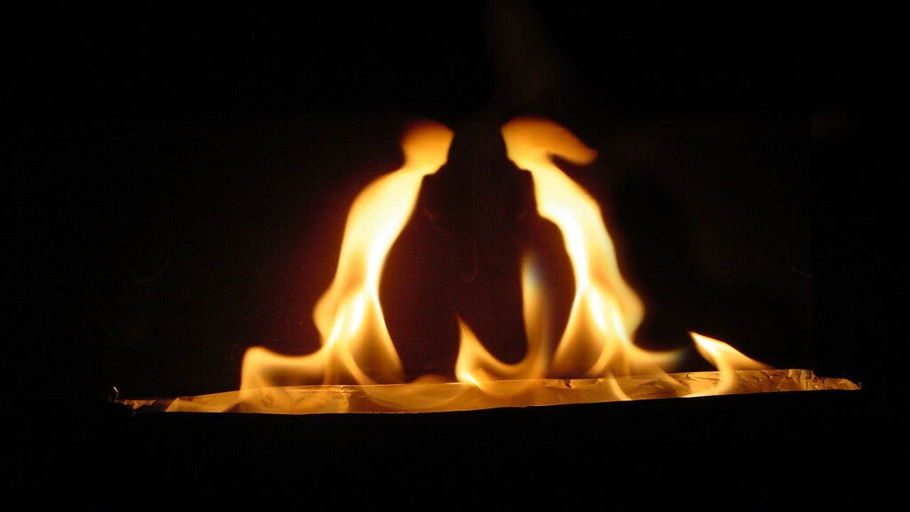 Любви соженная листва