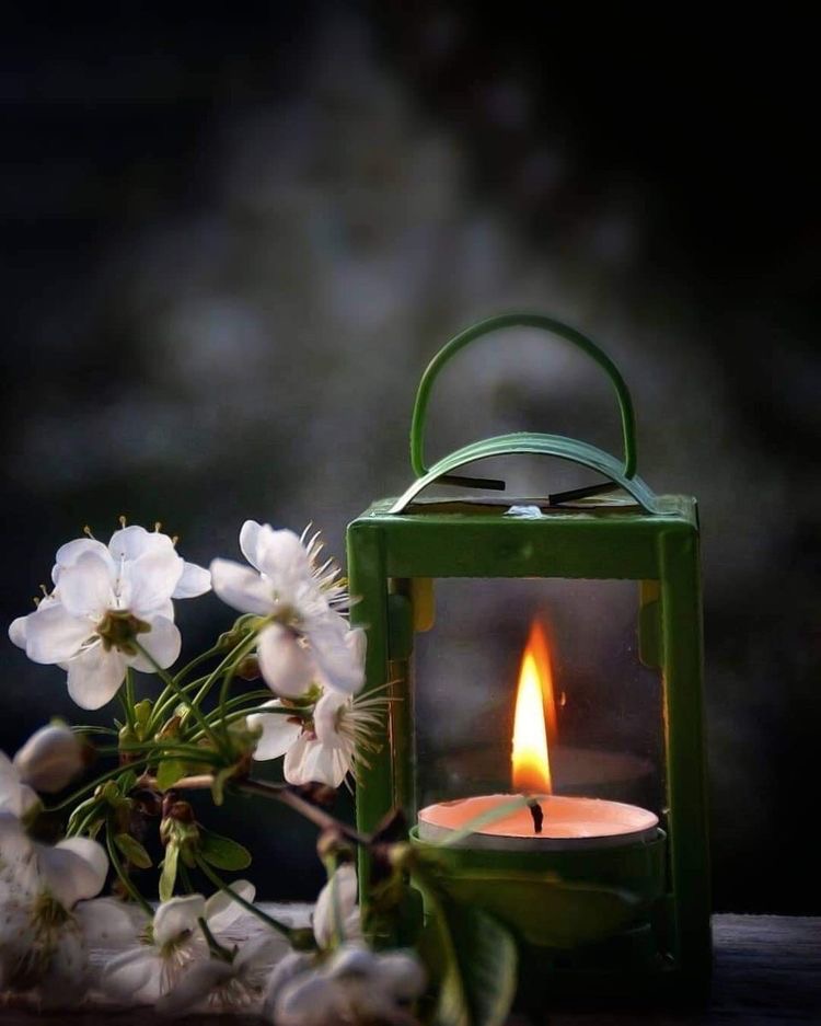 Мой сон, растоптанный войной