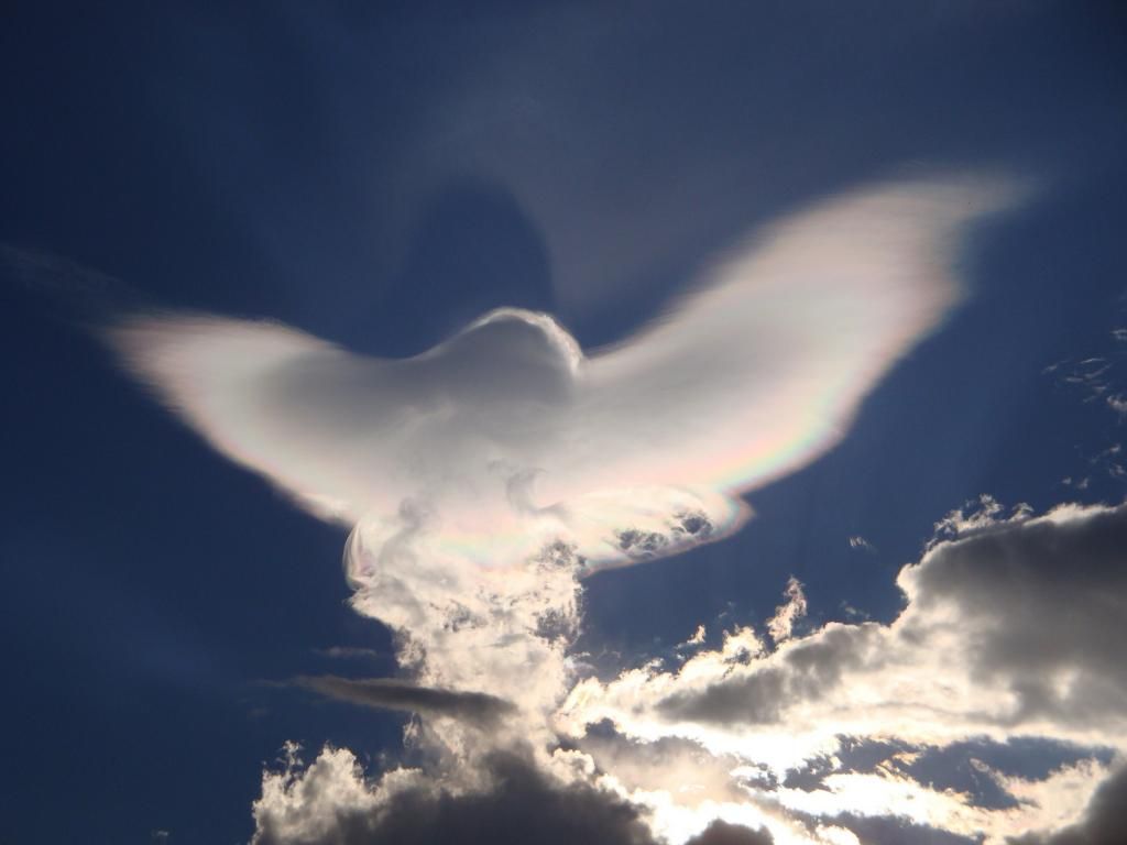 Облака в виде ангелов. Облако в виде ангела. Виды облаков. Ангел на облаке. Небо с облаками.