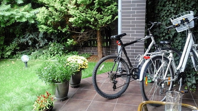 Я давно отвыкла от столицы