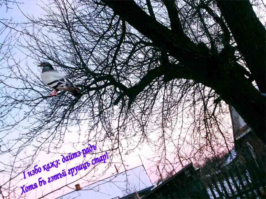 Вы ж меня исбирали, черти?!