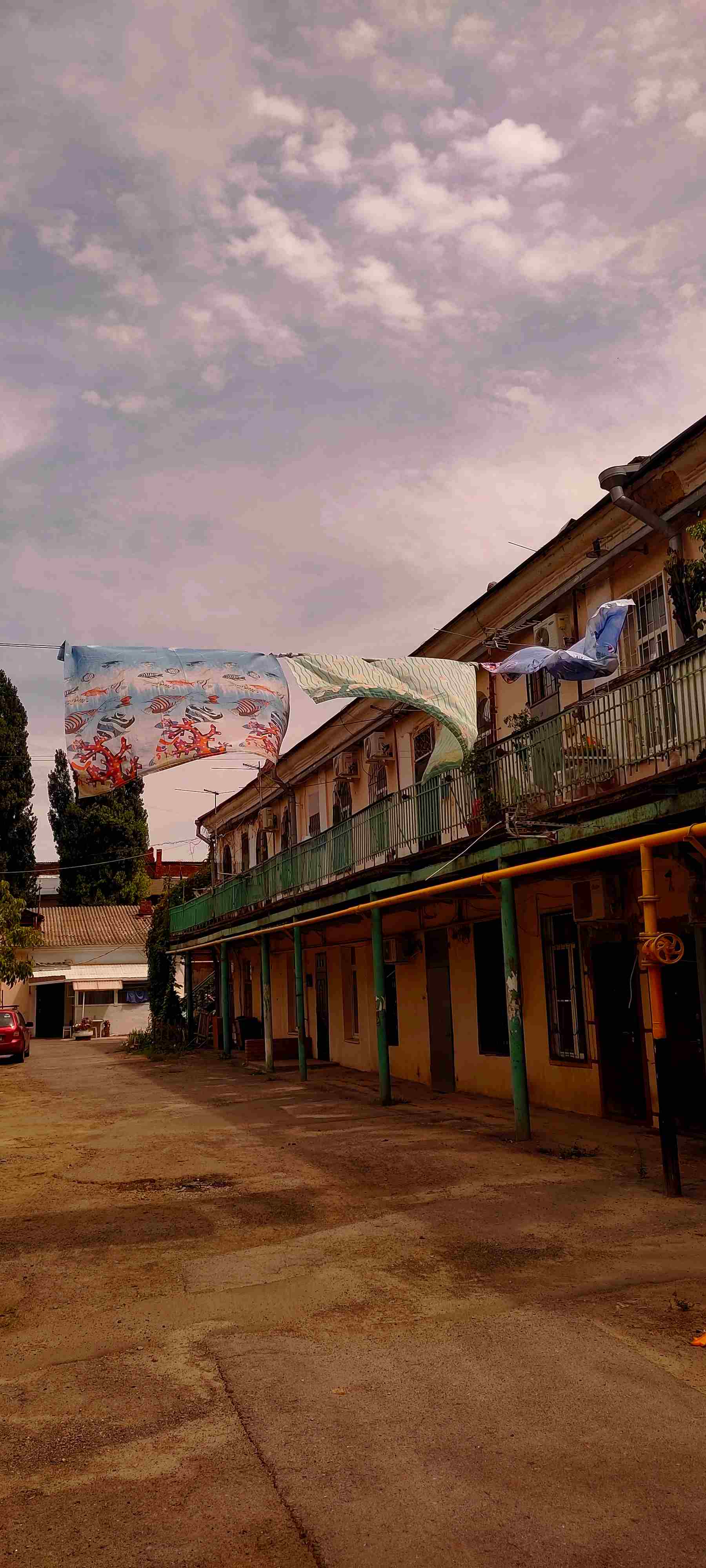 Сегодня сон приснился мне... 17. 04. 2022