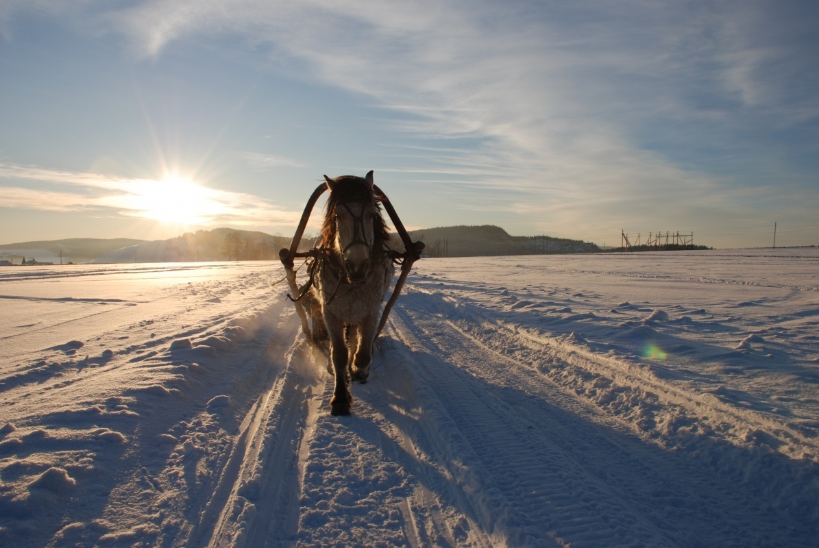 Когда устану от забот - 12