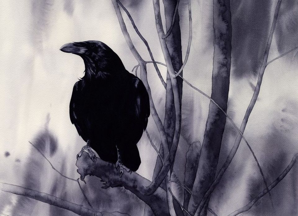 Ворон...