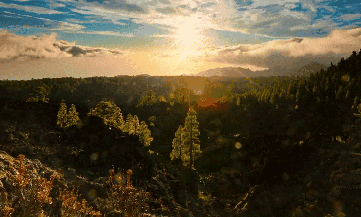 Когда уйдём мы