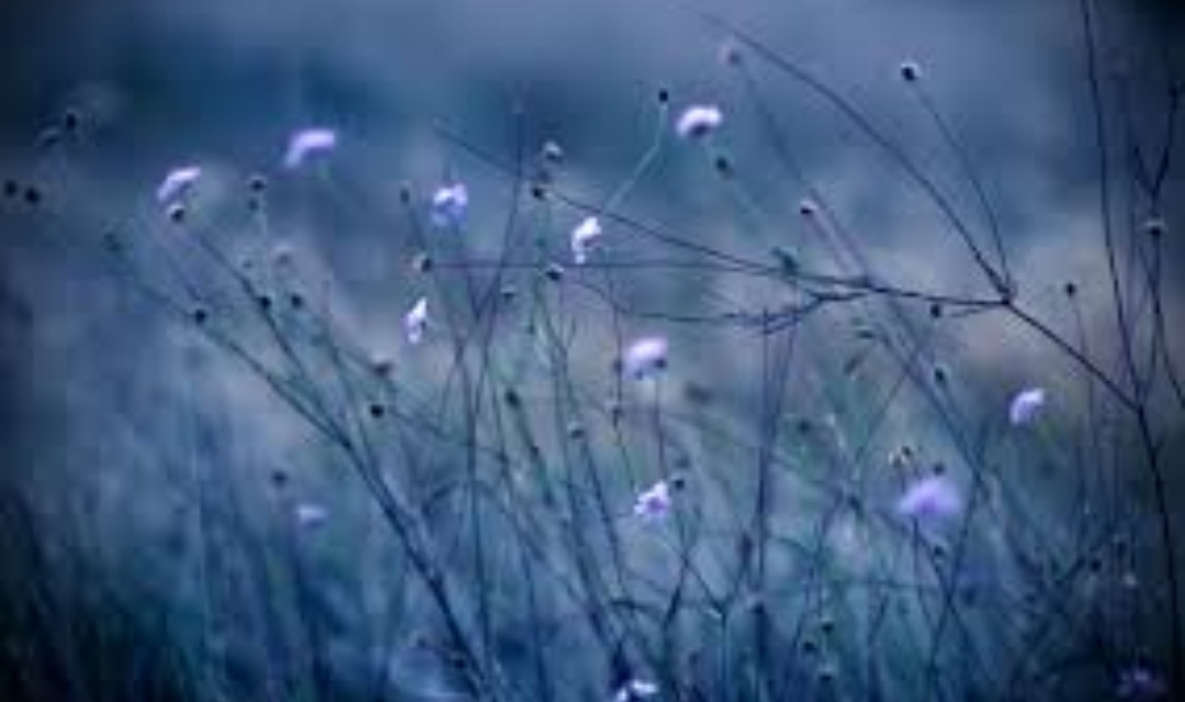 Неслучайно всё так...