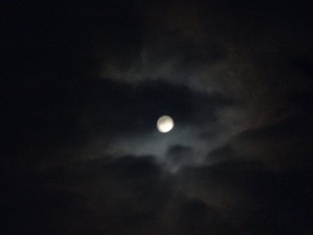 Ночь, луна и тишина