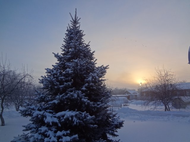 В свободной от грехов святой стране