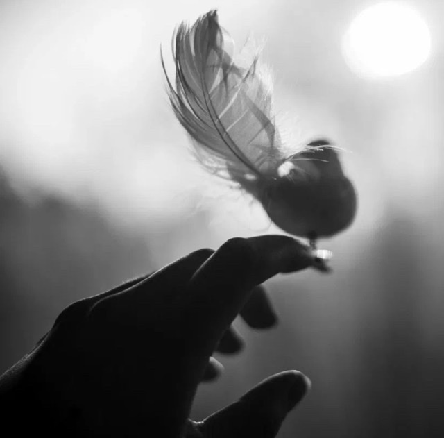 Первый встречный