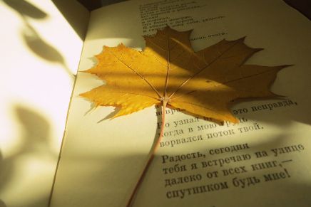 Старый блокнот