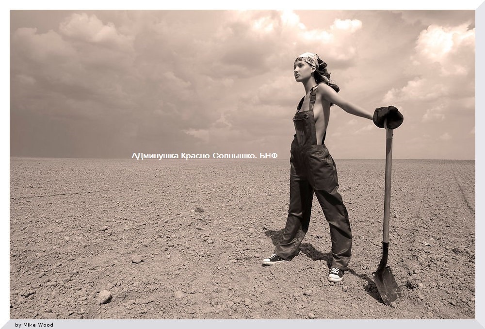 ДГ 129 Голосование и Роботов сборное