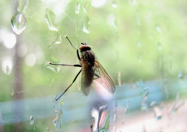 Настроение