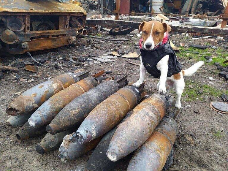 Патрон, браво!