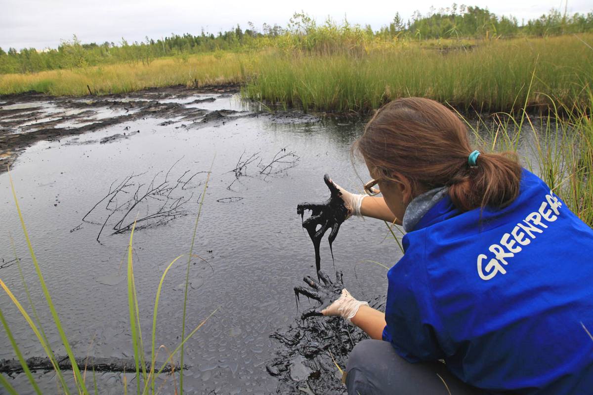 Тундра ныне...