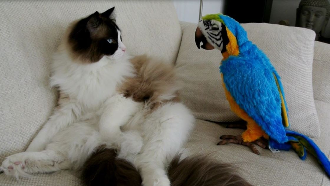 С чего начинается дружба?