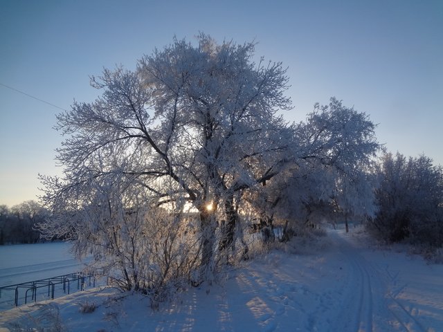 Моя муза, любви именинница