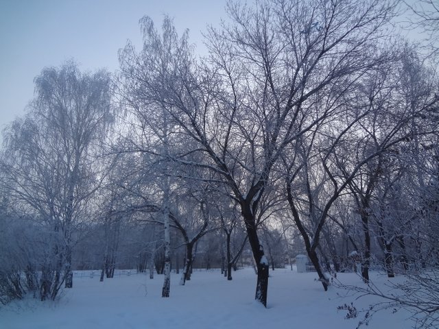 Все забыли о прошлом упрятанном броде