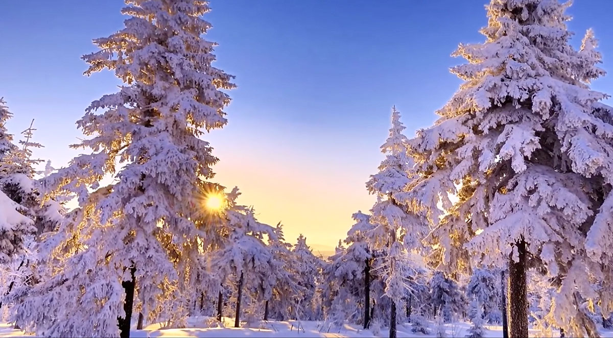 Глупо было жаловаться маме...