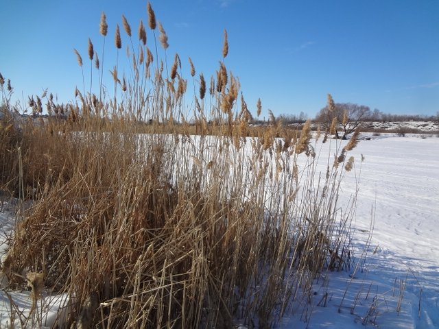 Мы живем до сих пор в миражах
