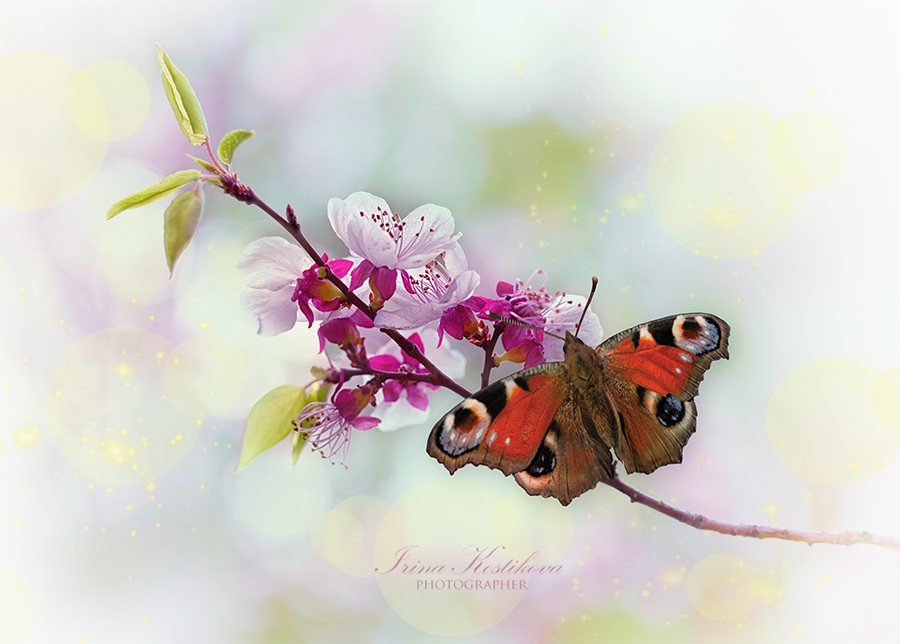 Теплотой окутаю тебя