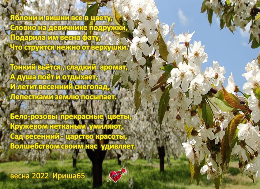 Цветущий сад стихи. Стих про весну. Стихотворение Весеннее царство. Стихи о весне и цветущих деревьев. Стихи про весну и цветущие сады.